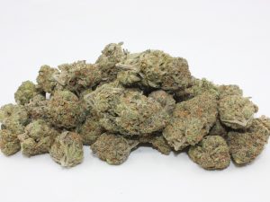 THE 💯 - PINK ROCKSTAR