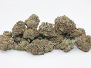 THE 💯 - SCENTED MARKER