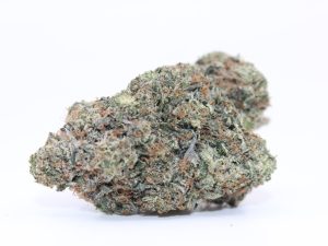 GASMASK BUBBA (AAAA)