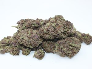 THE 💯 - HUCKLEBERRY SODA