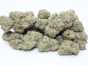 THE 💯 - MIRACLE ALIEN COOKIES