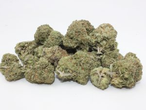 THE 💯 - PINK DEATH BUBBA