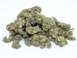 THE 💯 - WHITE GORILLA