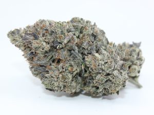 COMPETITION PINK (AAAA++) - MARY JAY PREMIUM