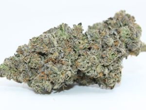LONG ISLAND GELATO (AAAA)