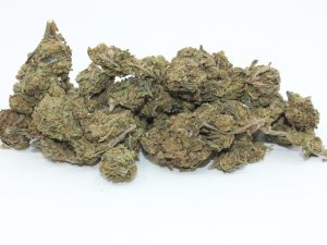 THE 💯 - GREEN WIDOW