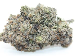 PINK GASMASK (AAAA++) - MARY JAY PREMIUM