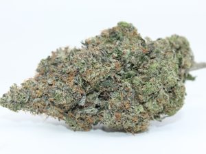 PINK ROCKSTAR (AAAA+)