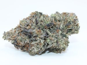PINK TOAD VENOM LSO (AAAA++) - MARY JAY PREMIUM