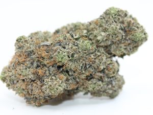 ULTRA PINK (AAAA++) - MARY JAY PREMIUM